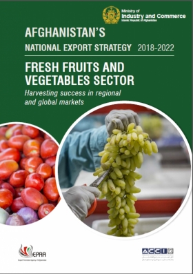 AFGHANISTAN NATIONAL EXPORT STRATEGY 2018-2022